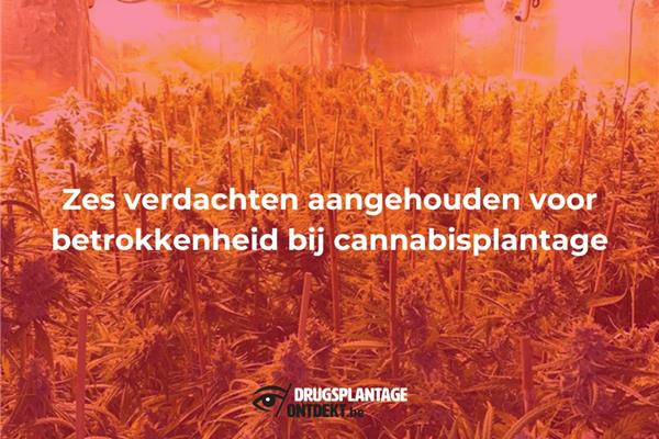 Burcht - Zes verdachten aangehouden voor betrokkenheid bij cannabisplantage